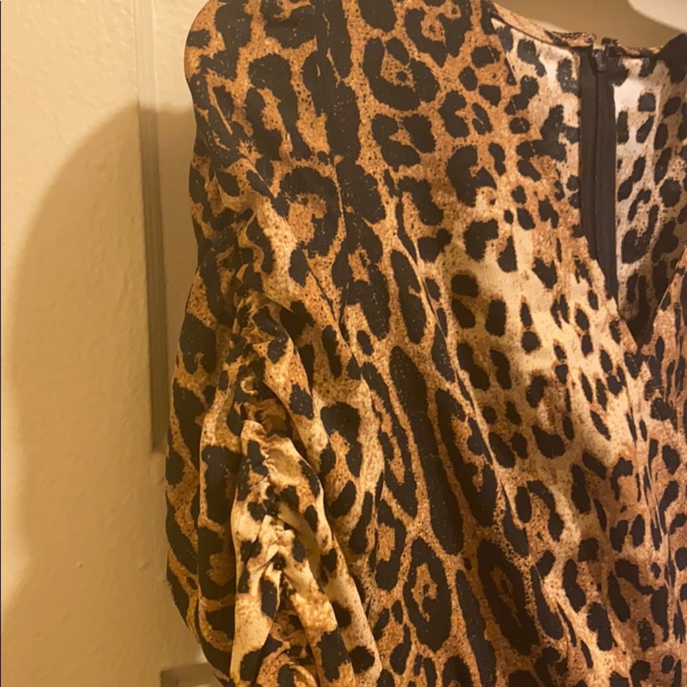Scoop Leopard Ruched Sleeve Ruffle Dress - Picture 4 of 6